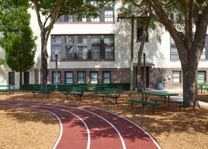 Picnic Tables & Benches